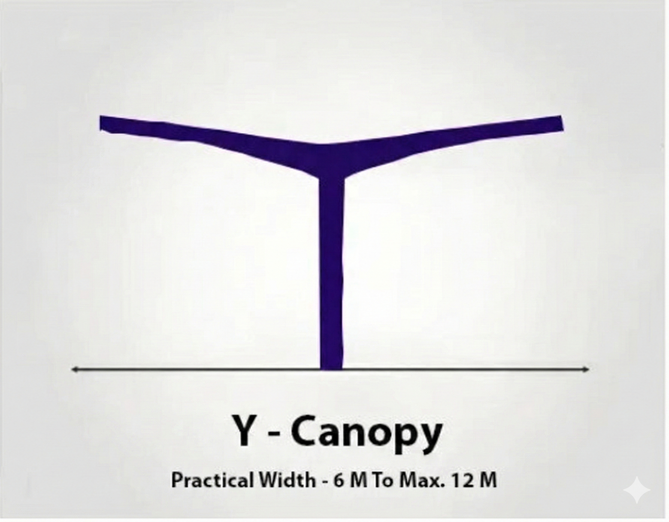 Y-Canopy